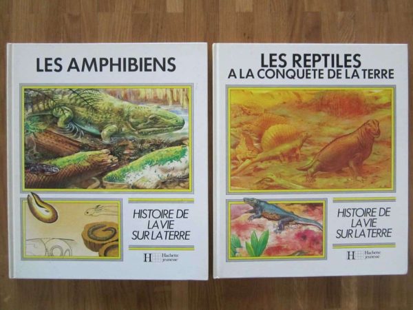 Histoire de la vie sur terre : Les amphibiens + les reptiles