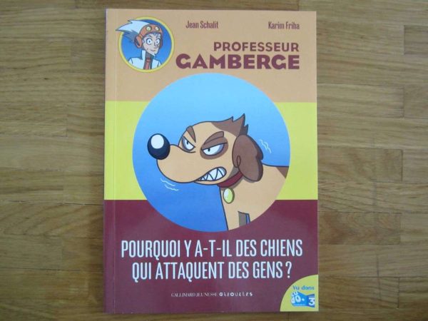 Pourquoi y a-t-il des chiens qui attaquent des gens ?