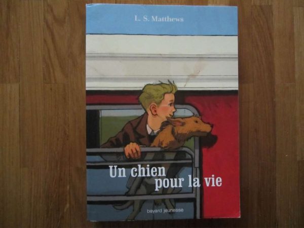 Un chien pour la vie - L. S. Matthews - bayard jeunesse