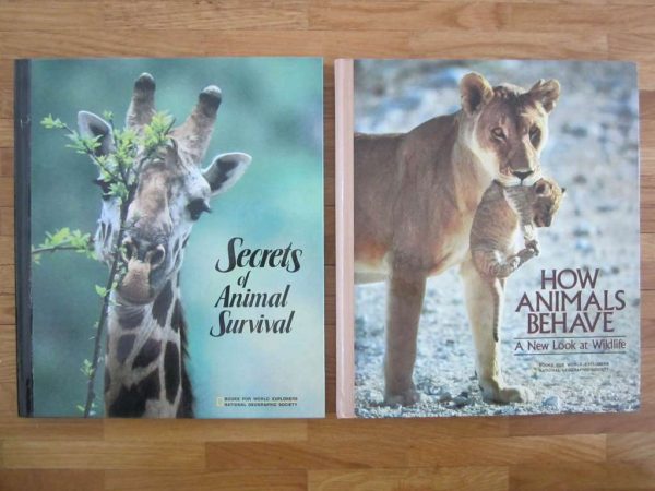 Lot de 2 livres en anglais "Books for World Explorers - National geographic society"
