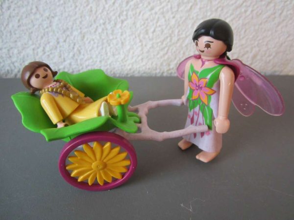 Lot Playmobil : selon photo