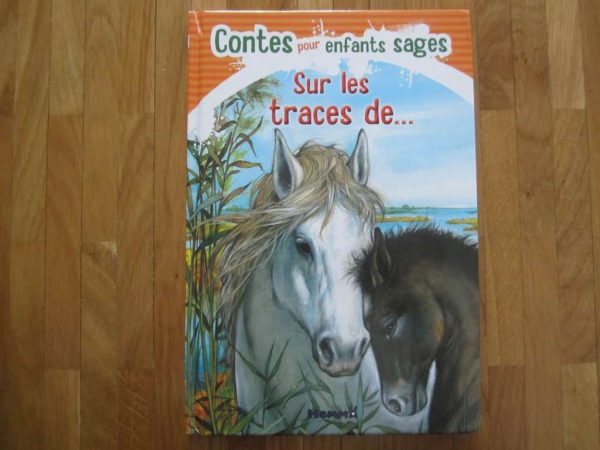 Contes pour enfants sages - Sur les traces de ...