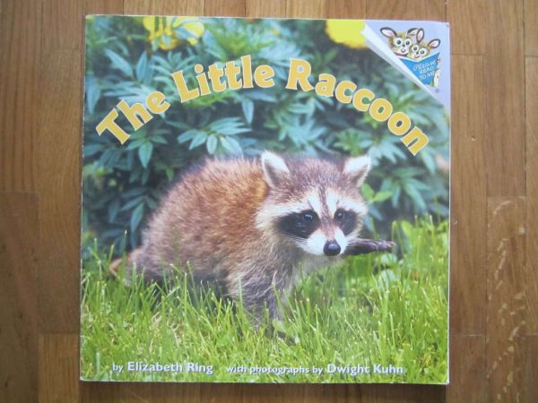 Livre en anglais "The Little Raccoon" (en bon état)