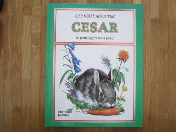Qui veut adopter CESAR le petit lapin sans peur