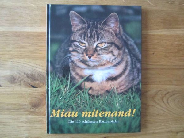 Miau mitenand ! Die 110 schönsten Katzenbilder