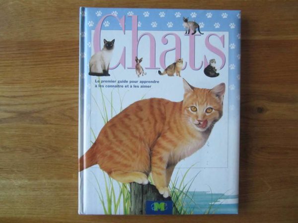 Chats : Le premier guide pour apprendre à les connaître et