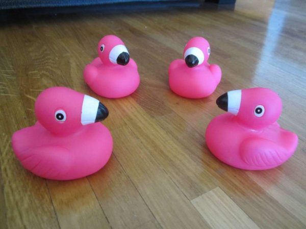 Jouet de bain : lot de 4 flamants roses : selon photo