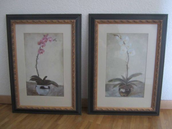 Lot de 2 tableaux "orchidée" Campbell, G & C interiors