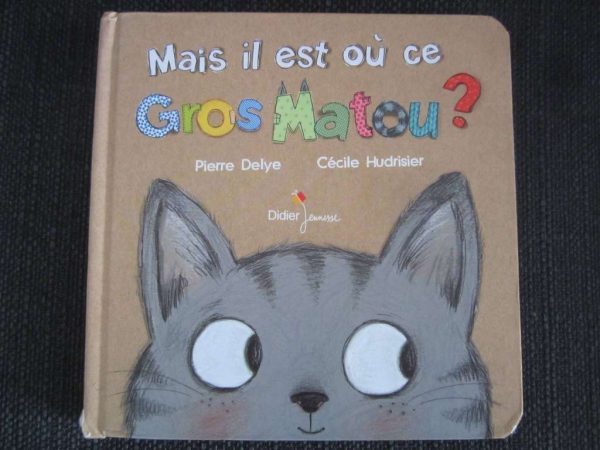 Livre cartonné à volets : Mais il est où ce gros matou ?