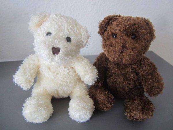 Lot de 2 petits oursons blanc et brun : selon photos