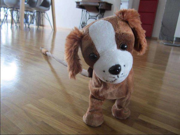 Chien se dandinant sur de la musique (voir vidéo attachée).