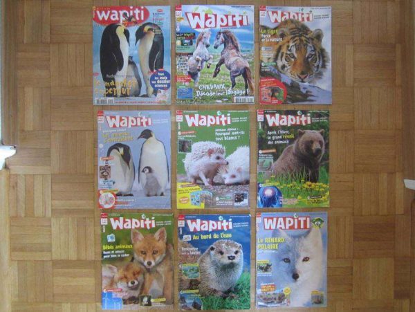 Lot de 9 magazines Wapiti, de 7 à 13 ans (d'occasion).