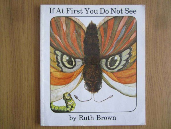 If At First You Do No See, by Ruth Brown.
